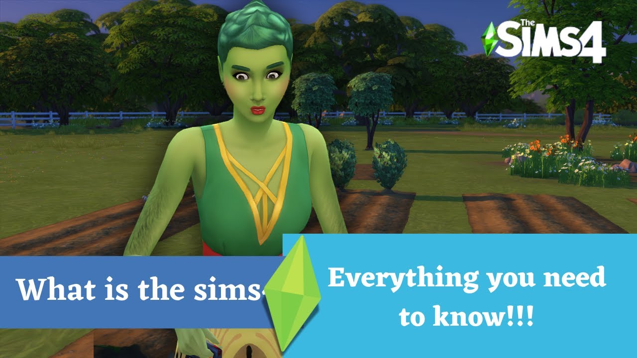 Welcome to The Sims! A Beginner's Guide to the Ultimate Life Simulation Game