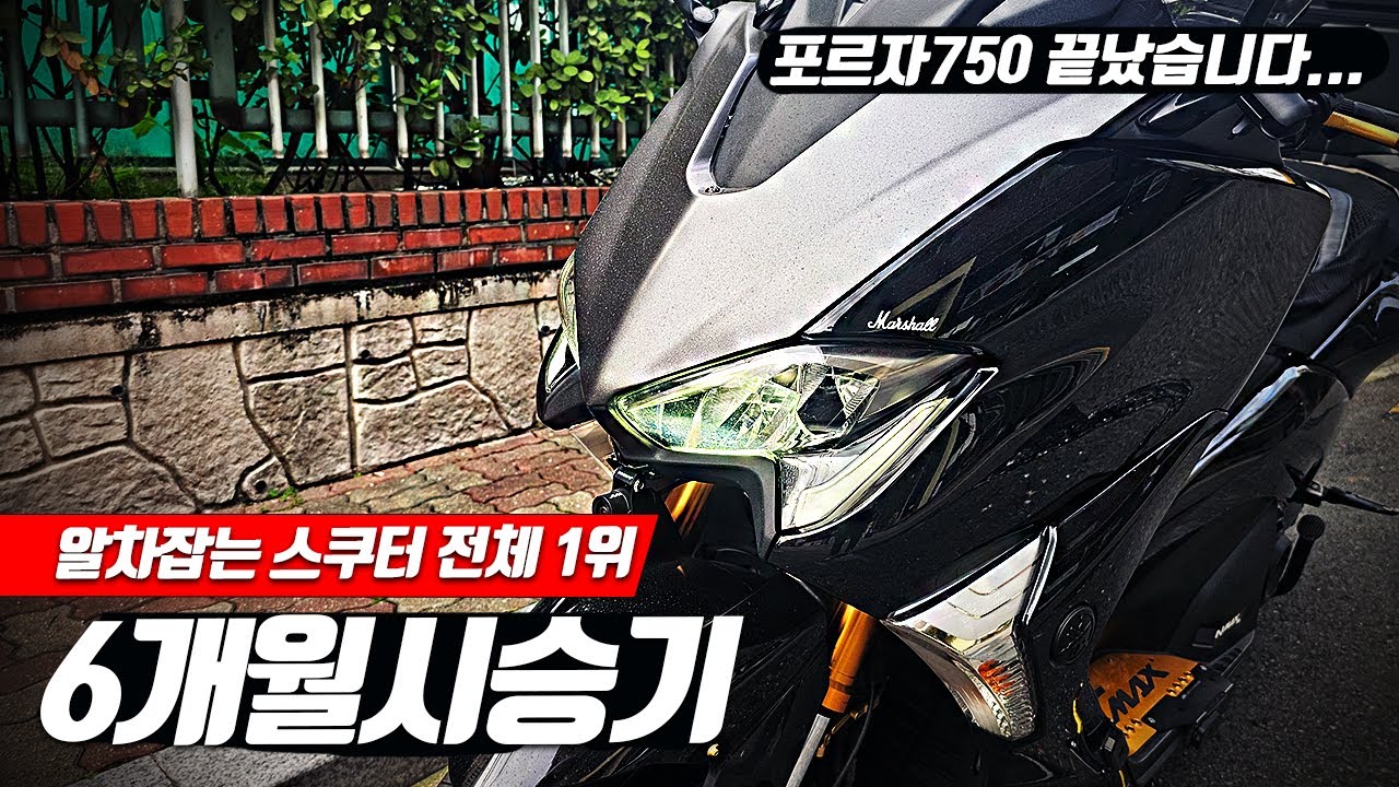 [알차잡는 스쿠터] 야마하 티맥스 6개월 시승기 포르자750되겠냐?ㅋㅋㅋㅋㅋㅋㅋ