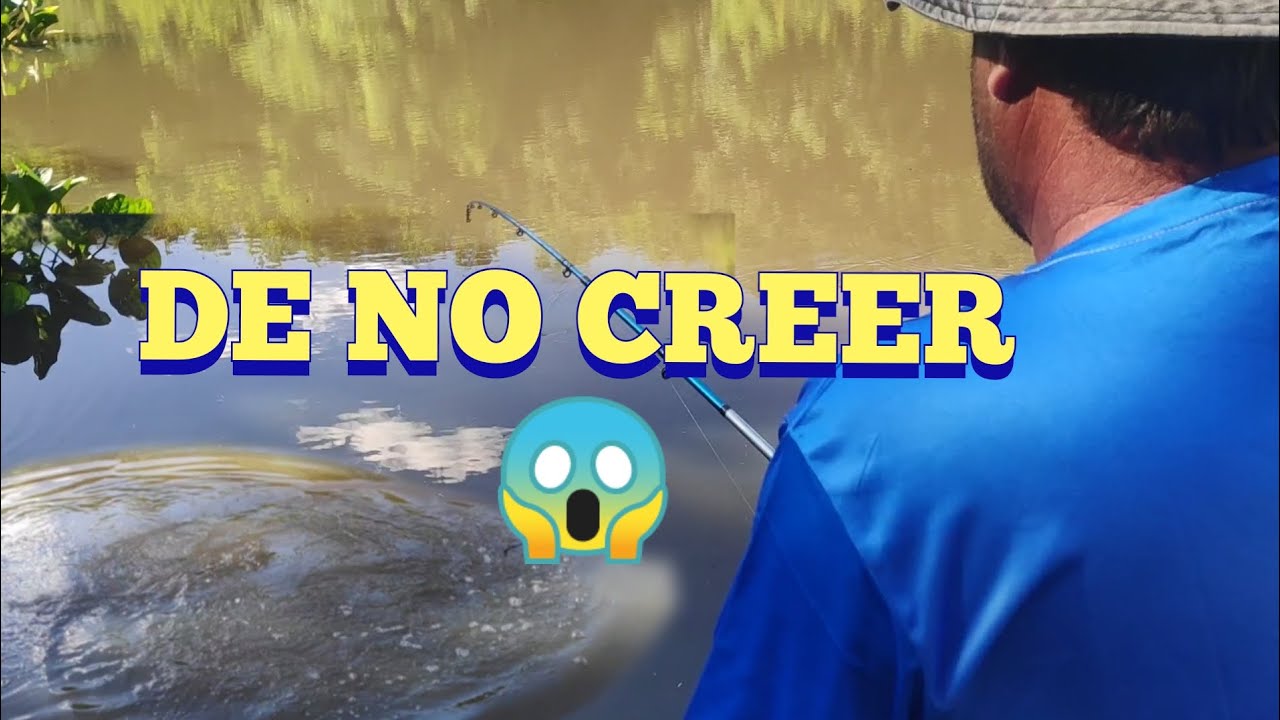 Nunca pensamos sacar esto en este lugar en Pesca agua dulce