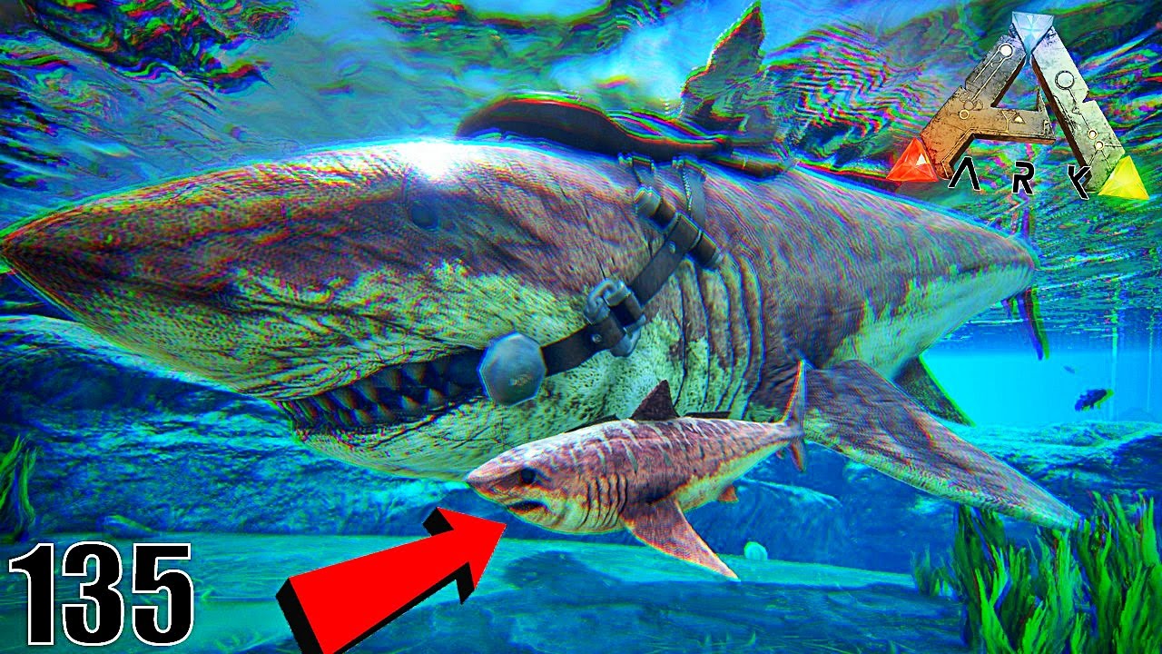 LE PLUS PETIT MÉGALODON AU MONDE ! | ARK: Survival Evolved ! #Ep135