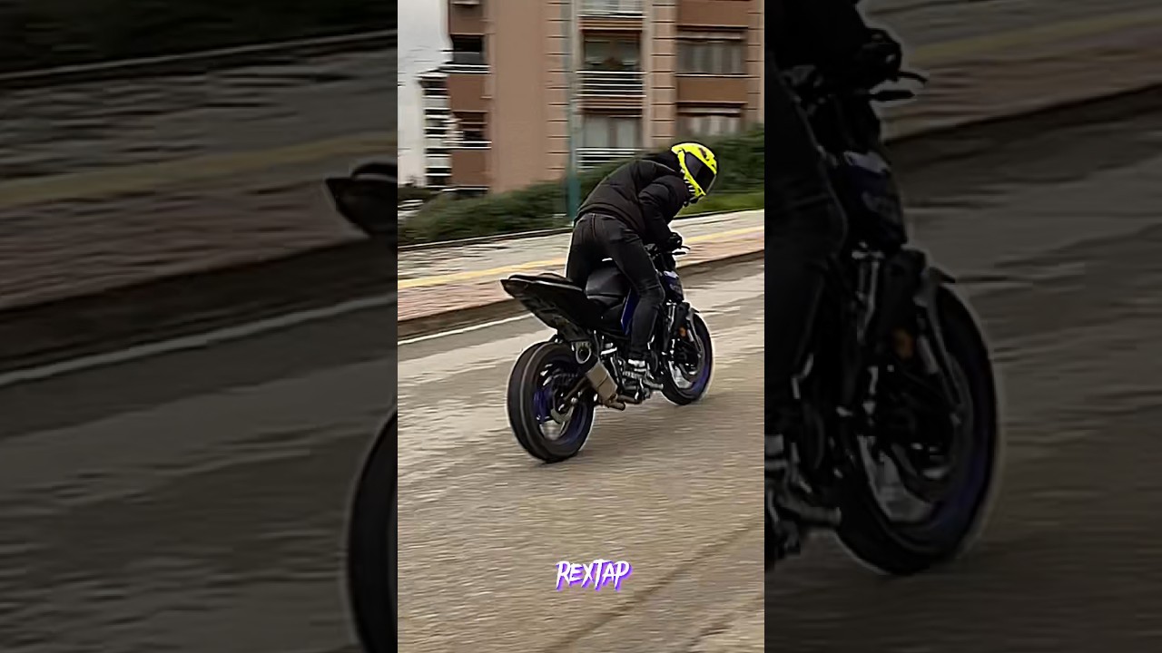 Mt 25 tiger ve REXTAP #mt25 #yamaha #tiger