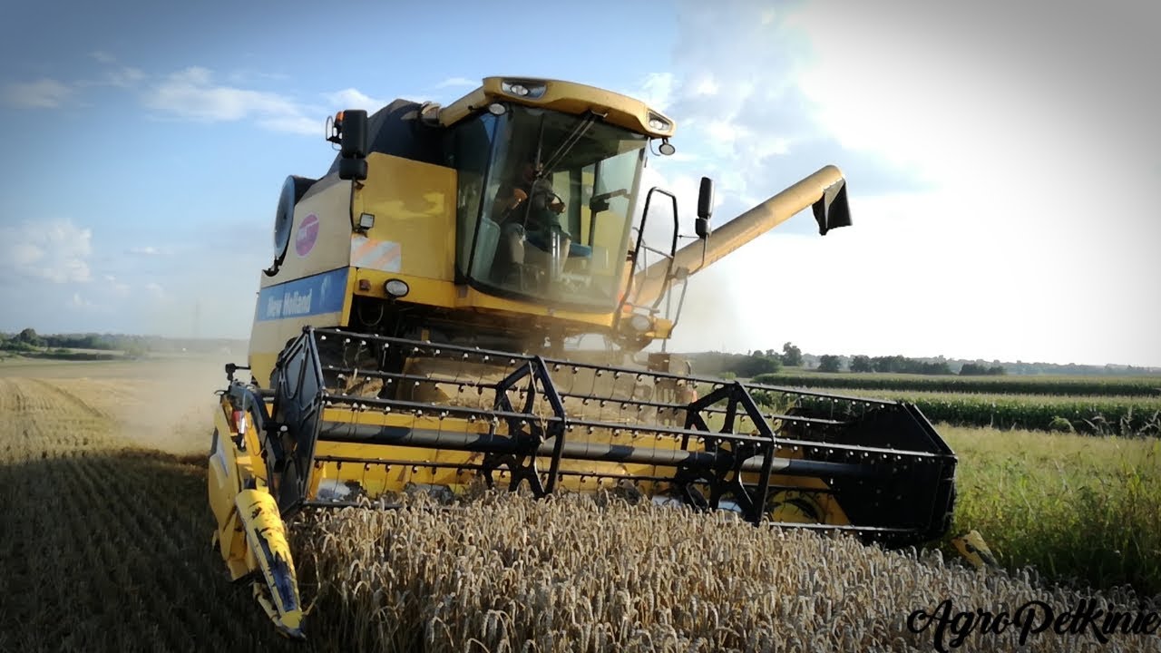 Żniwa 2018 ☆ 4x NH ☆ New Holland TC 5070 ✪ T6080 & T5060 & TD5.85 ★Podkarpacie★