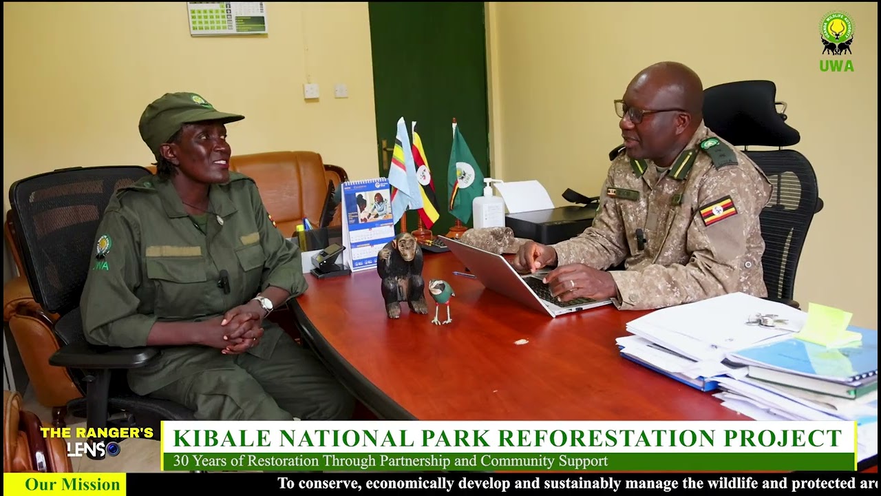 Restoring Kibale’s Tropical Rainforest | 30 Years of Restoration & Community Support #Ranger'sLens