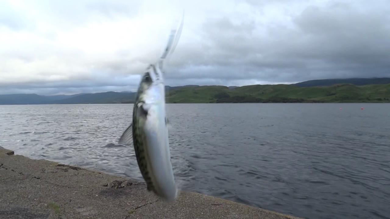 Loch Fyne Fishing