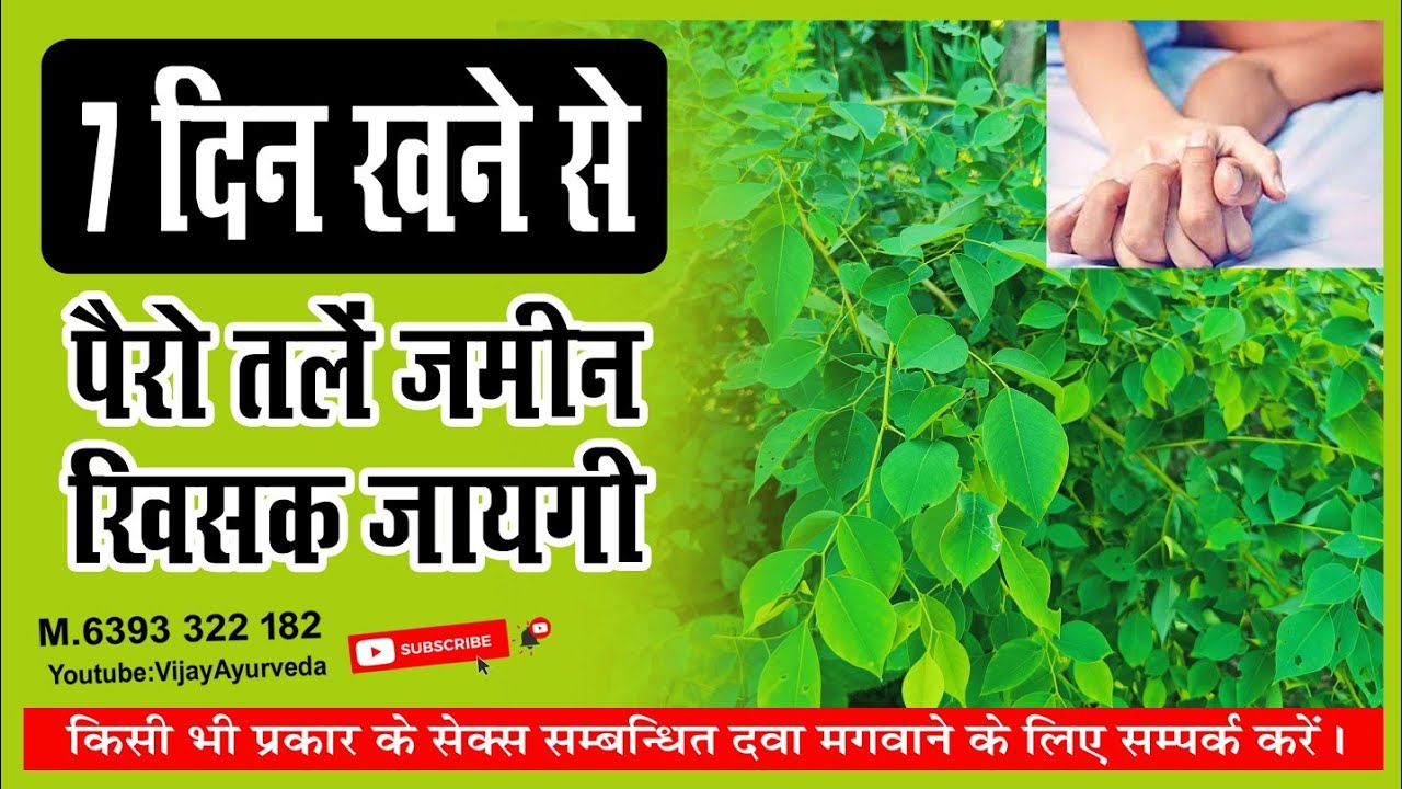 #shisham ke patte ke fayde | 7 दिन खाने से पैरों तले जमीन खिसक जाएगा | #Vijaydhamaka ayurveda