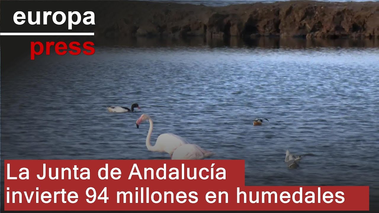 La Junta invierte 94 millones en restaurar y conservar humedales andaluces desde 2019