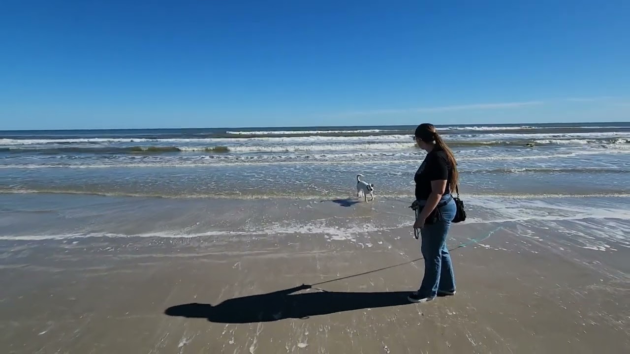 Nola Day 18 update