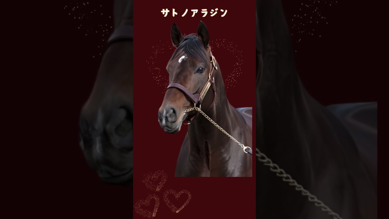 思わず見とれてしまう美形の馬4　　 #競馬   #horse   #かわいい   #競走馬