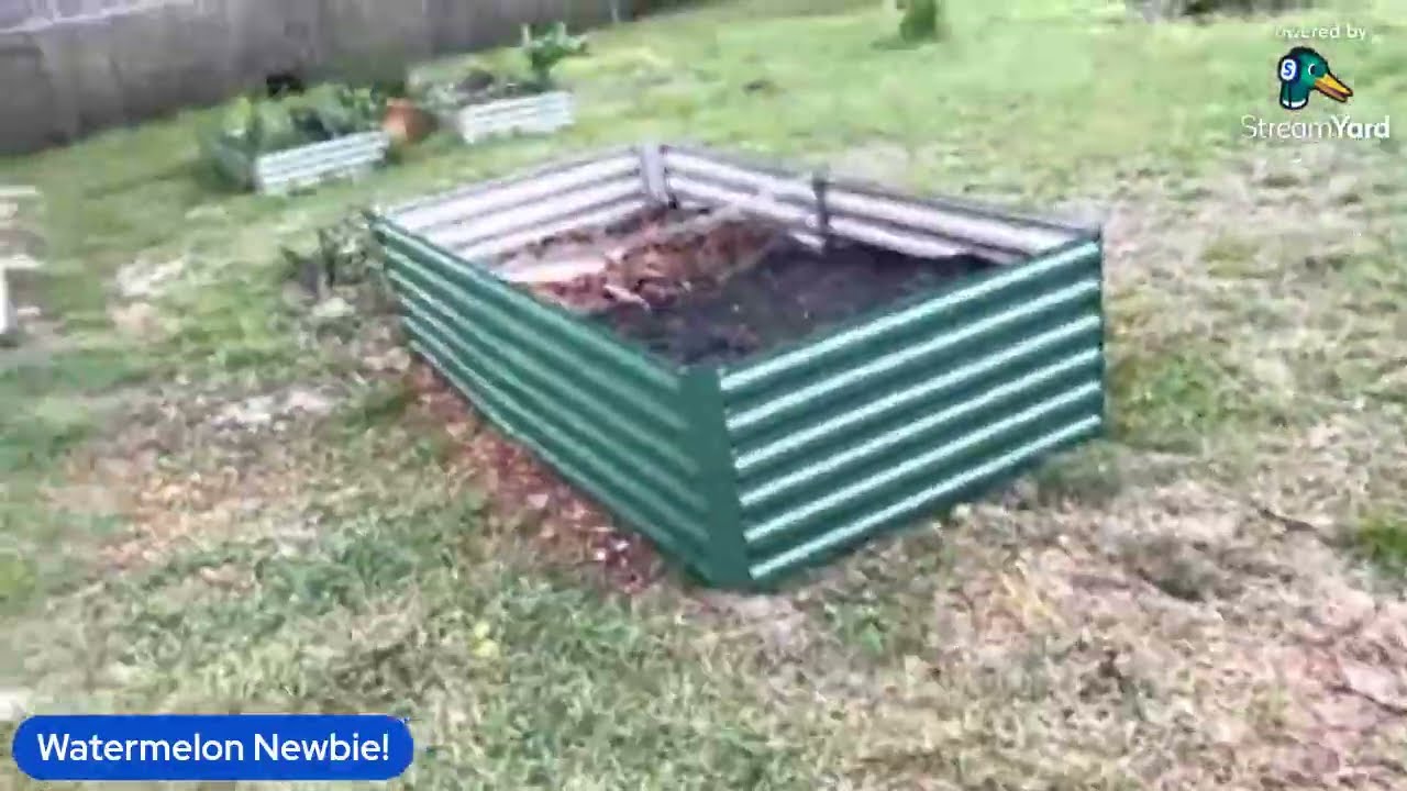 Garden Chat Przygotowanie arbuza!