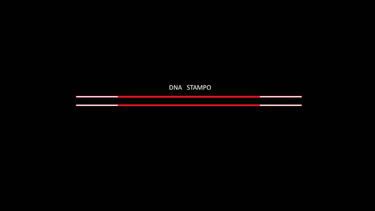 LA PCR IN 5 MINUTI