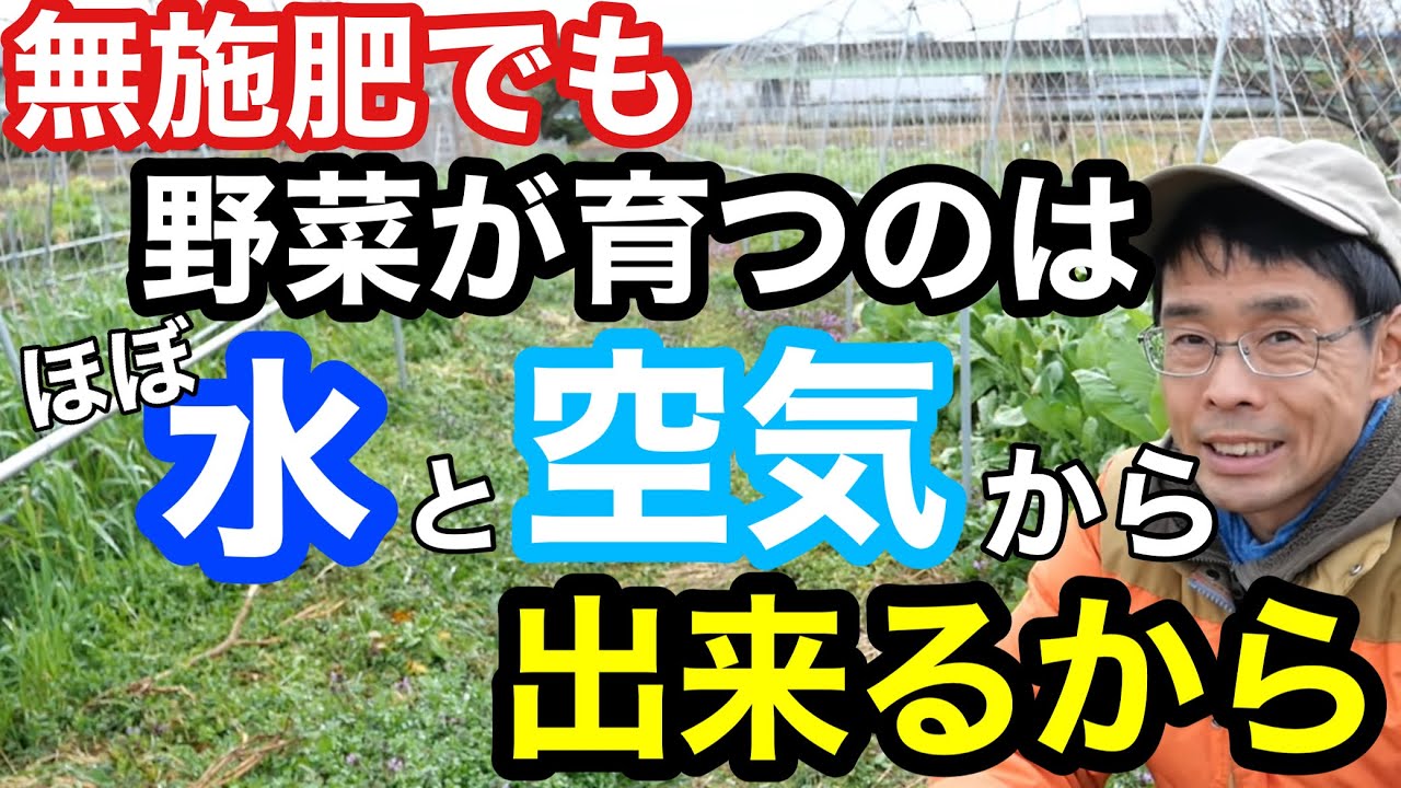 【自然農】無施肥でも野菜が育ち続ける理由《無農薬/家庭菜園/自給農/無肥料栽培/土作り》