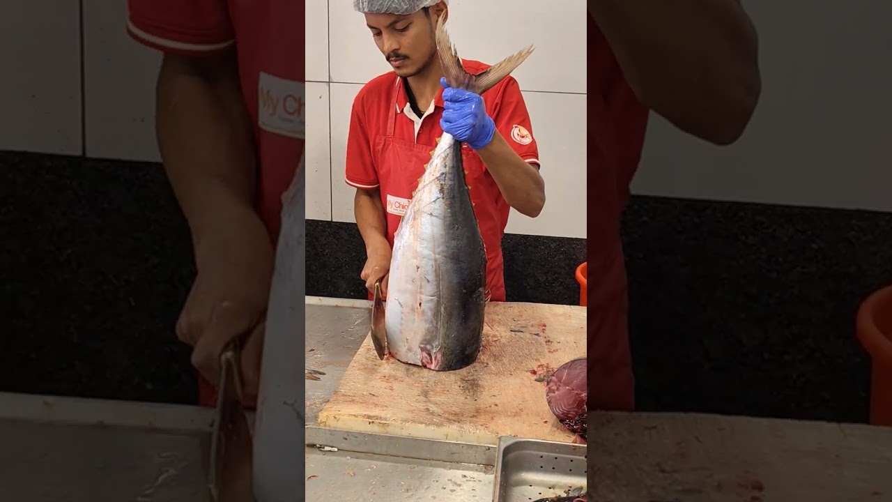 Fish vineo my chickan and More BTM layout 2nd stage all 