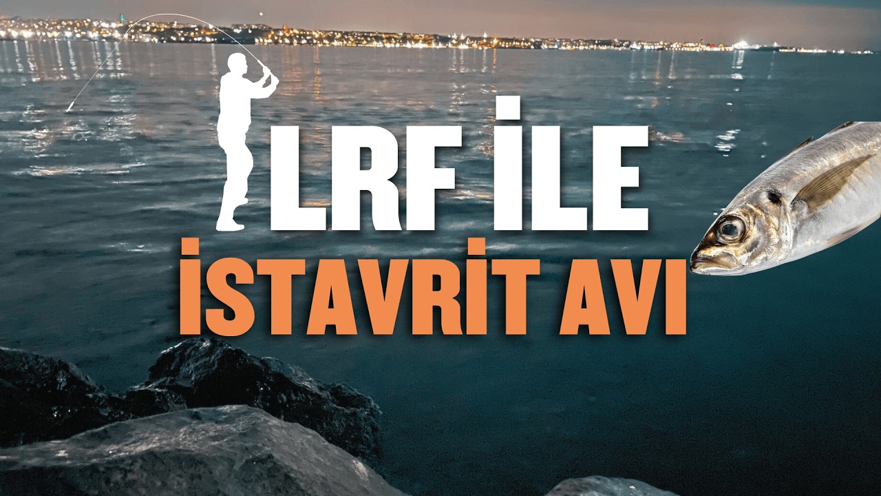 LRF İle Balık Avı - LRF Olta ile İstavrit Avı