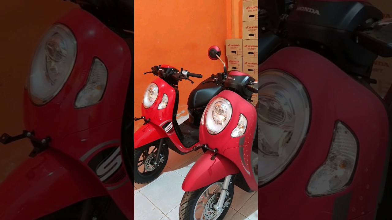 HONDA SCOOPY STYLISH VS HONDA SCOOPY SPORTY 2024 #scoopy2024 #scoopystylish #scoopysporty