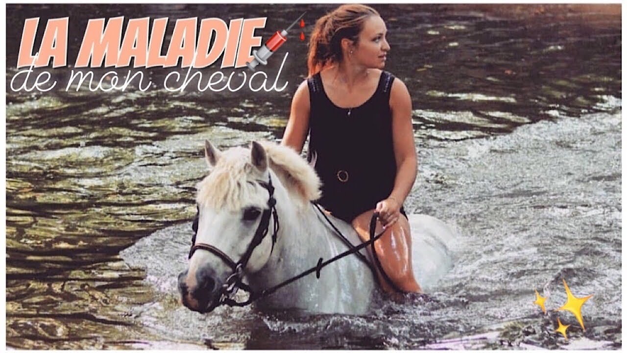 SANTÉ  ► LE CANCER DE MON CHEVAL 🐴💉