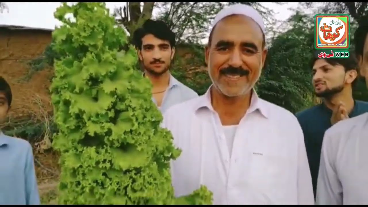 Miracle in Kohat | اللہ کی قدرت کا کرشمہ
