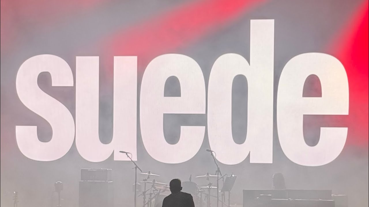Suede Still Life Alexandra Palace 2024