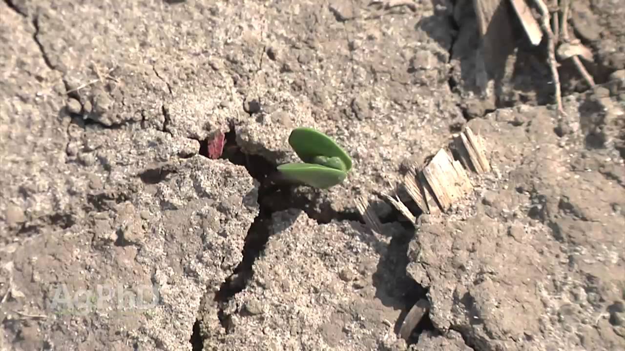 Iron Talk #898 - Precision Farming Difference (Air Date 6/21/15)