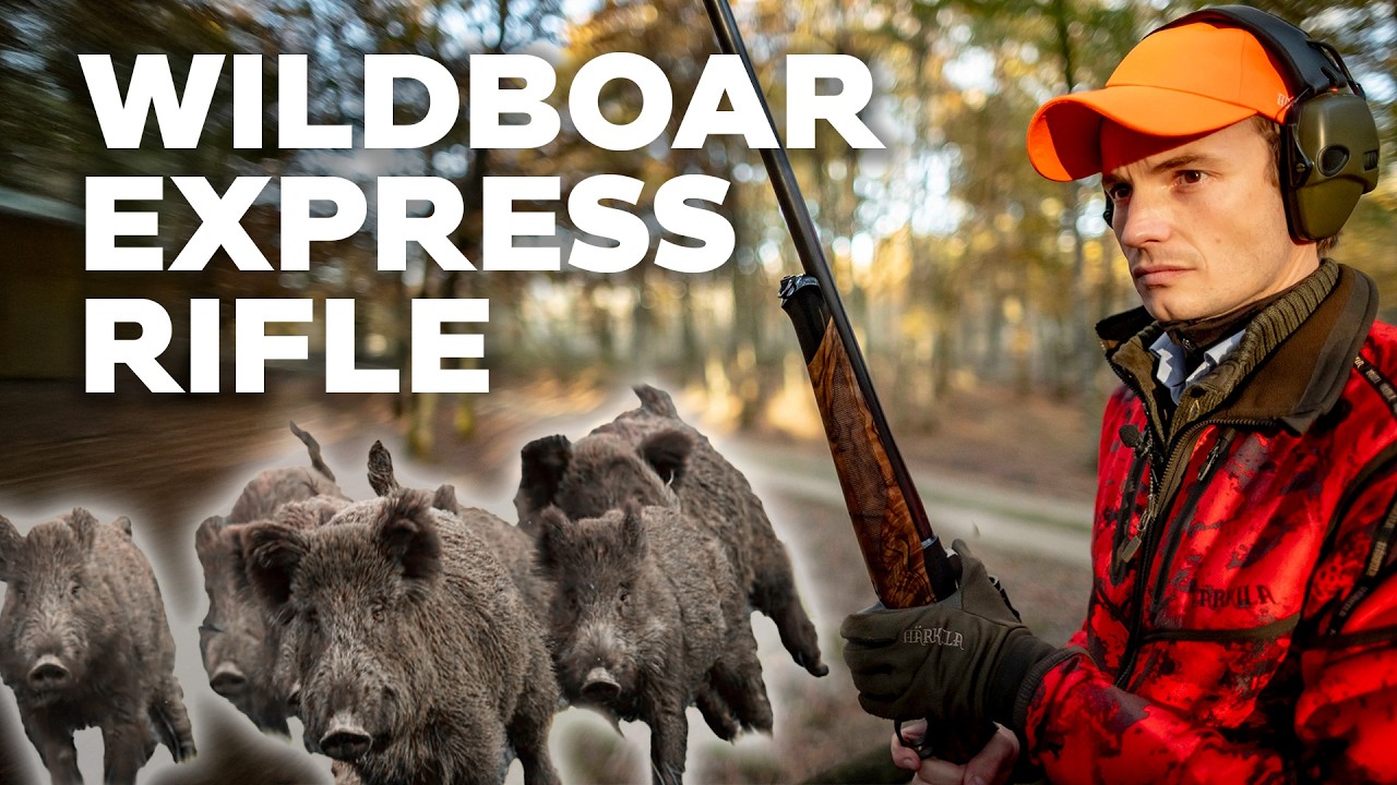 Is Driven Wild Boar with an Express Rifle Faster?
