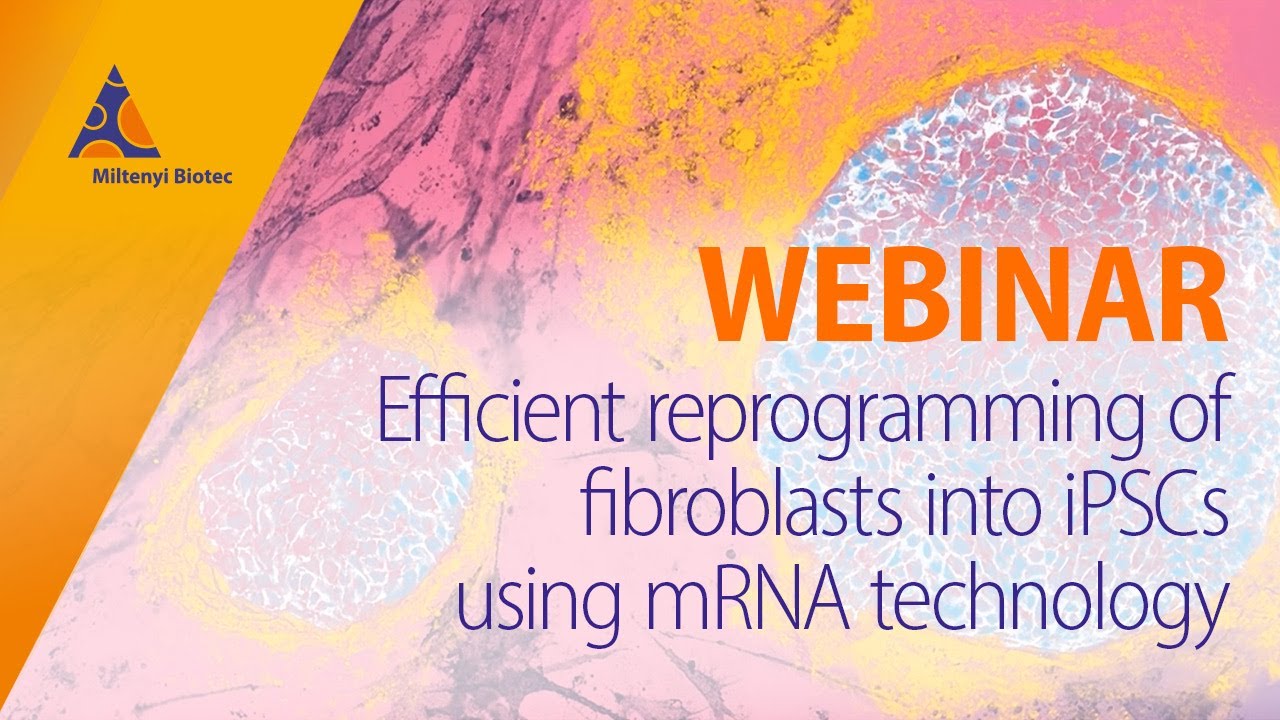 Efficient reprogramming of fibroblasts into iPSCs using mRNA technology [WEBINAR]