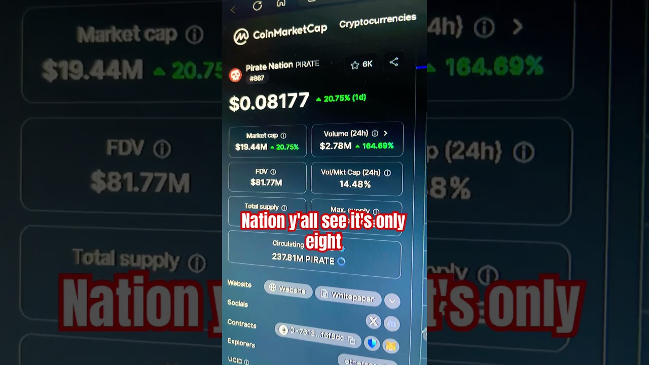 pirate nation price prediction crypto coin bull run! #fyp