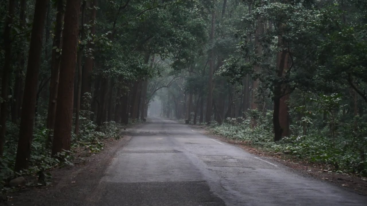 Adeeb Faisal Vlogs | Wildlife Crossing Road | Jim Corbett National Park | Tiger Territory 