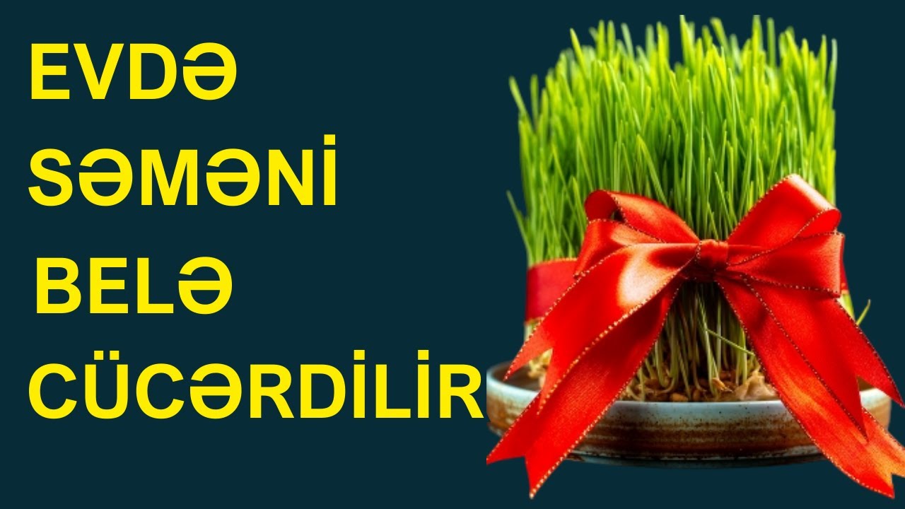 Novruzda SƏMƏNİ Necə Qoyulur - Ən Düzgün Və ASAN QAYDASI