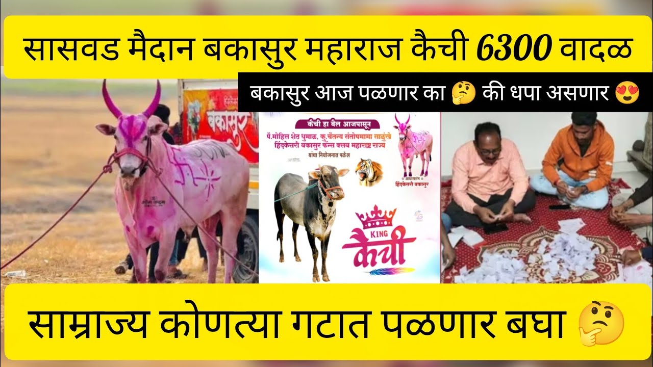 सासवड मैदान बकासुर महाराज कैची 6300 वादळ साम्राज्य कोणत्या गटात पळणार/बकासुर पळणार का आज 🤔की धप्पा 😍