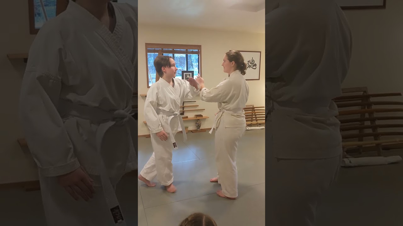 9th Kyu Aikido children test