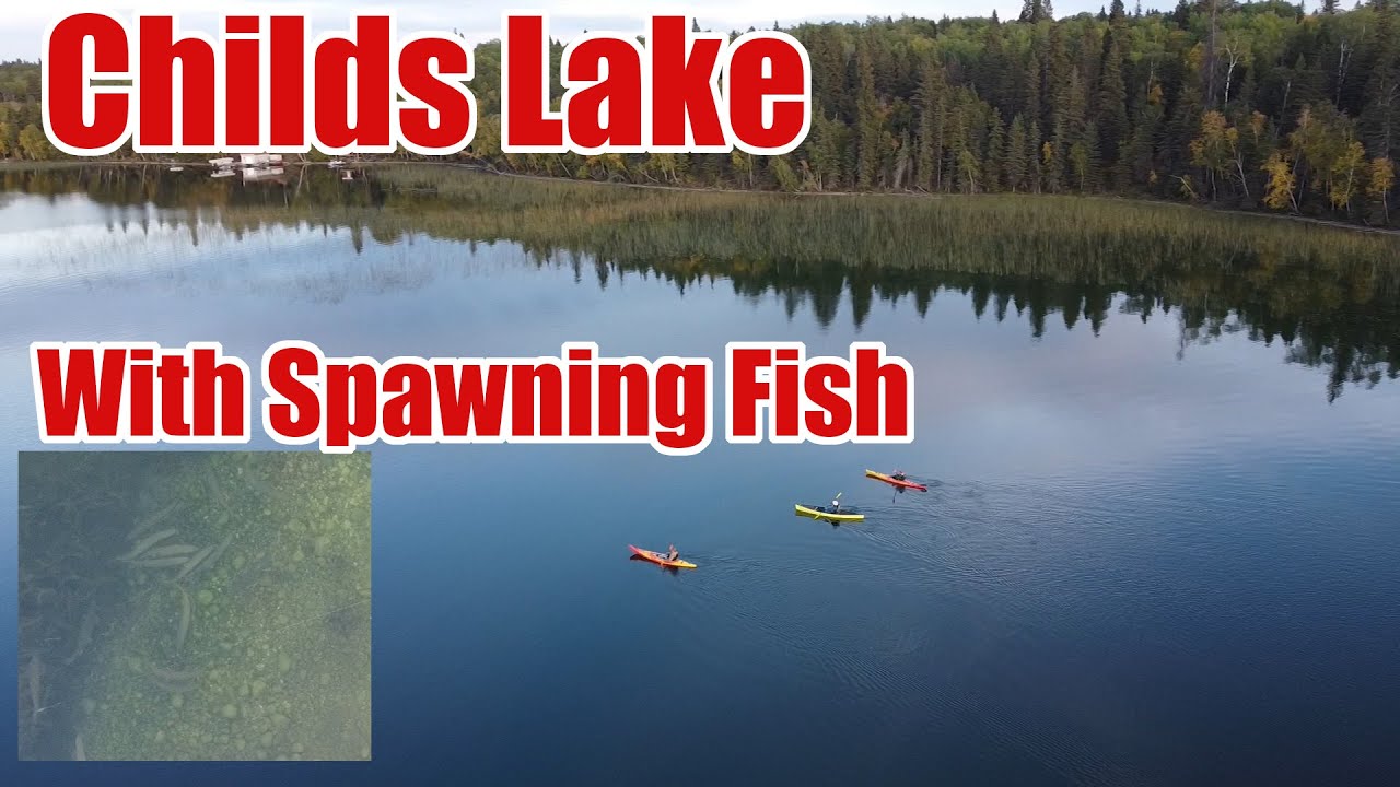 Childs Lake and Fish Spawning - Travels with Bill
