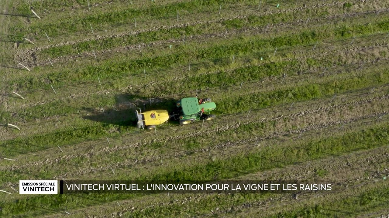 Les Innovations Viti-Vini avec Vinitech | Partie 1 : La vigne et les raisins