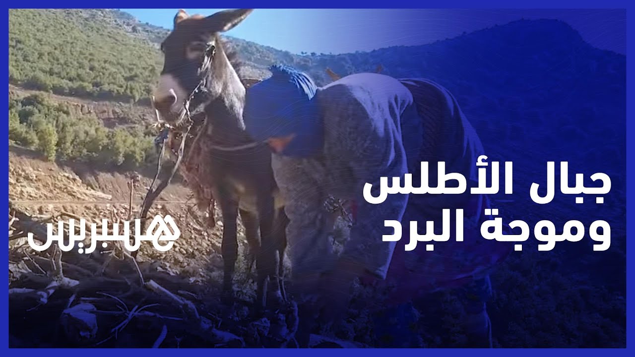 البرد القارس يقضّ مضجع ساكنة الجبل
