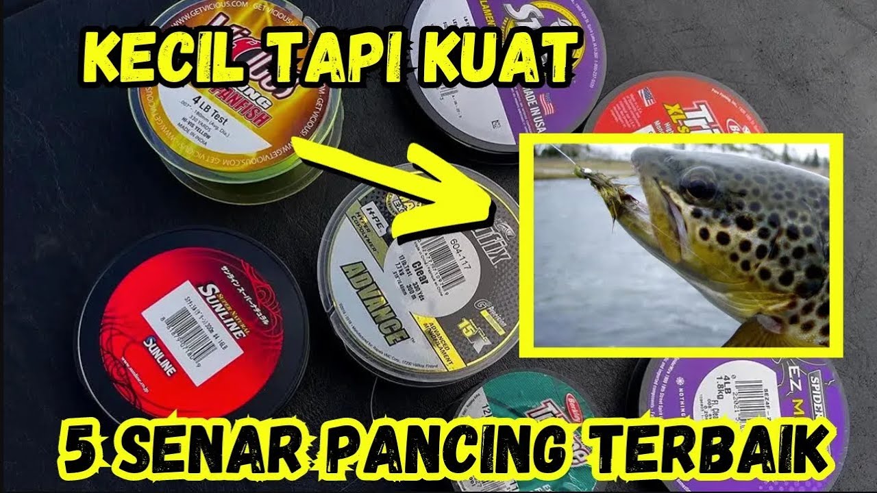 TOP 5 Rekomendasi SENAR PANCING Terbaik PALING KUAT | Aquazone
