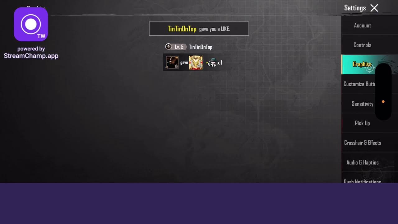 BabyLion Live Stream