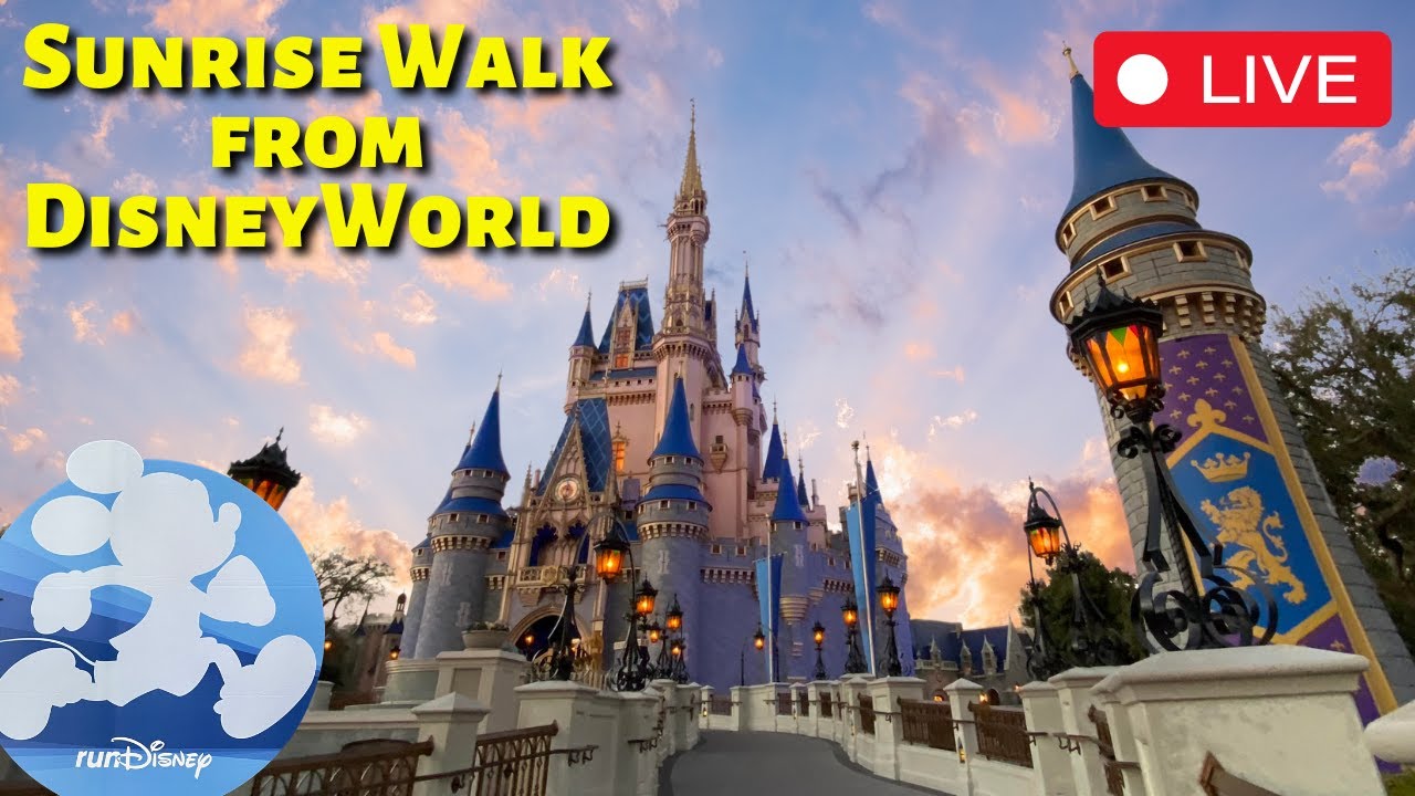 🔴LIVE🔴 45 Min Walk or Run Treadmill POV at Walt Disney World | Run Disney, Training, Motivation