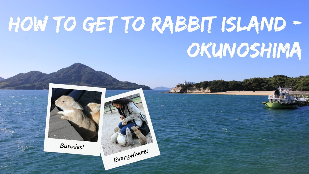 DO’s and DON’Ts for RABBIT ISLAND in Japan (Okunoshima), and how to get there!