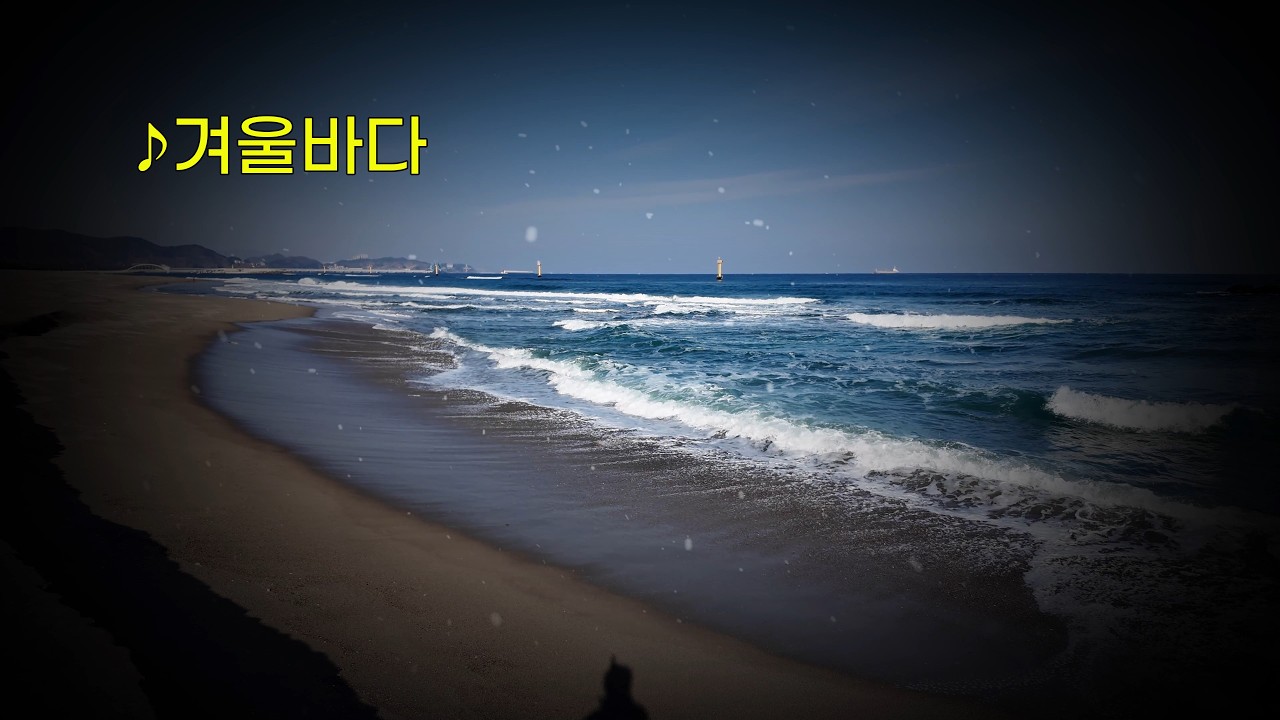 7080 아련한 감성 발라드 | ♪겨울바다