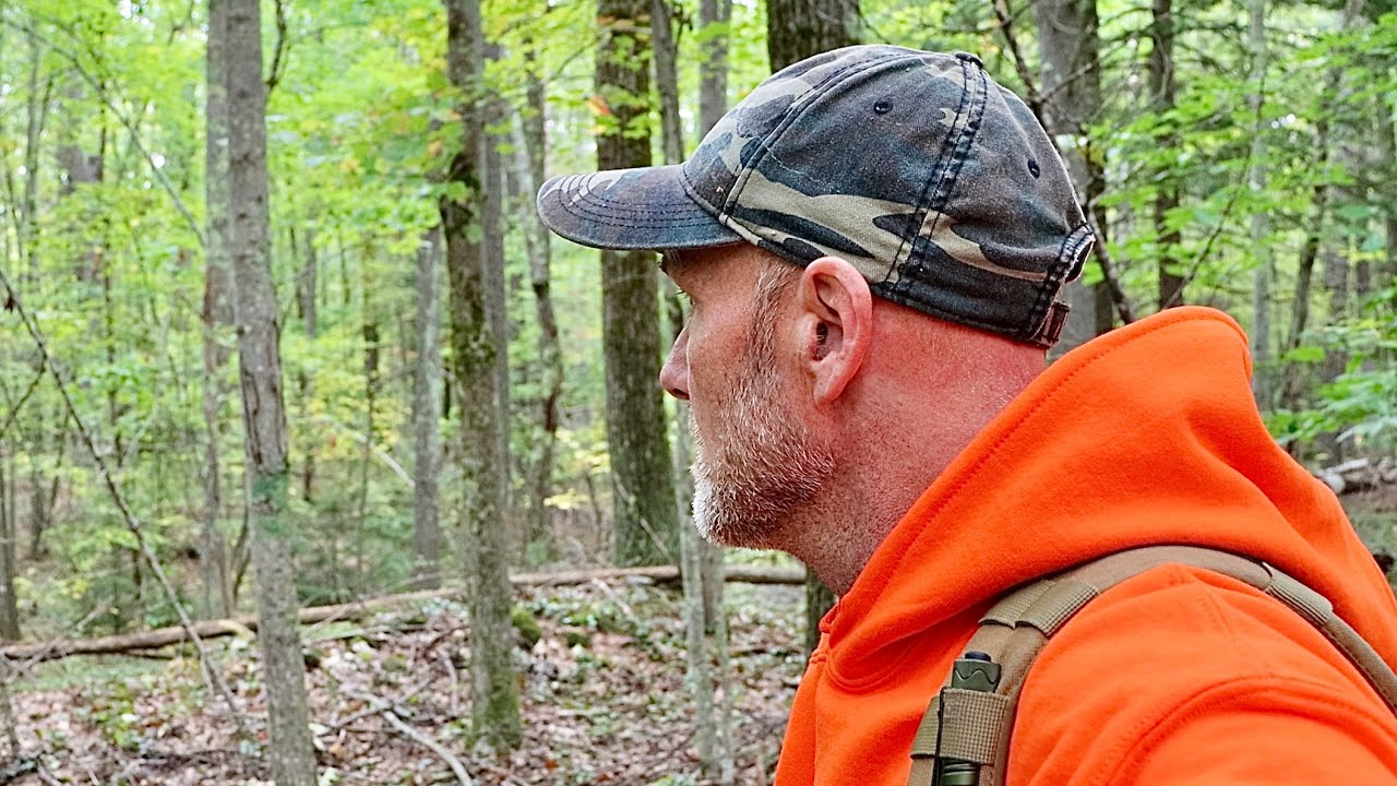 I knew I heard somebody else out in the woods while metal detecting today
