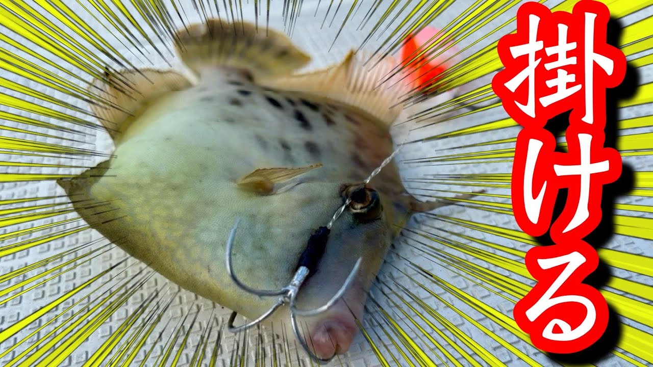 「カワハギはテンヤで掛ける！」新境地のカワハギ「カケテン」とは？