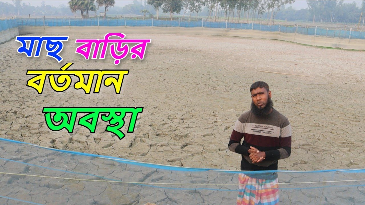 মাছ বাড়ির শীতকালিন অবস্থা।সহজ পদ্ধতিতে মাছ চাষ । রুবেল মিয়া।Mach Bari