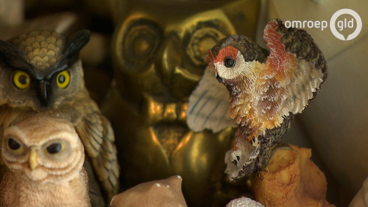 Gelderland Helpt 22 januari 2017