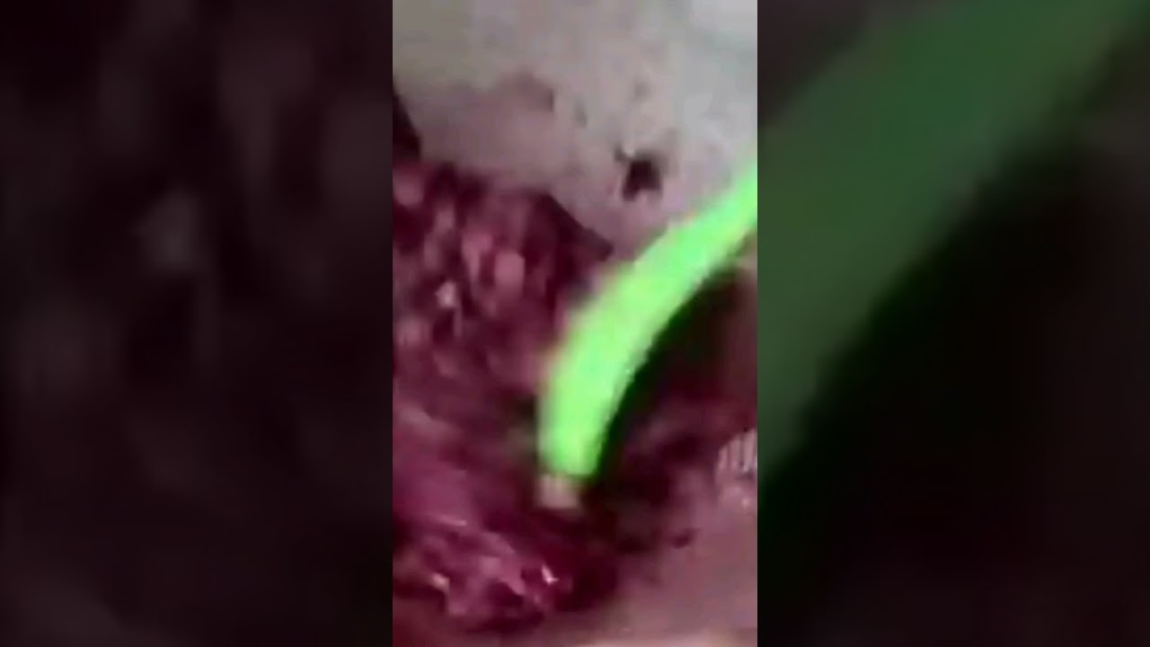 فالسہ کا شربت بنانے کے لیے فالسے میں پودینہ تھوڑا سا کالا نمک اور چینی ڈال کر گرینڈ کر کے چھان لیں
