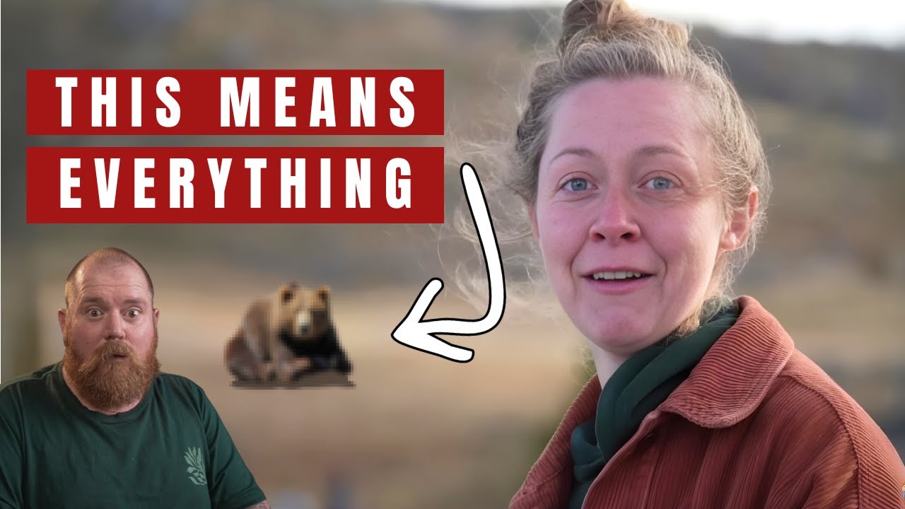 Aussie Reacts to America Gave Us a Moment We’ll Never Forget! (USA Road Trip)