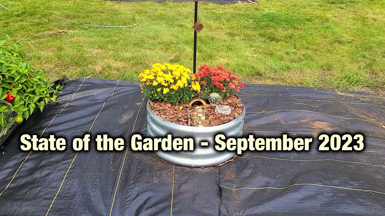 State of the Garden - September 2023