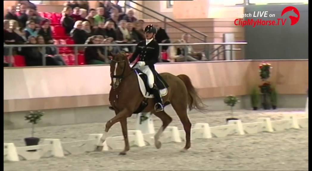 Marlies van Baalen wint KNHS Indoorkampioenschap Zware Tour