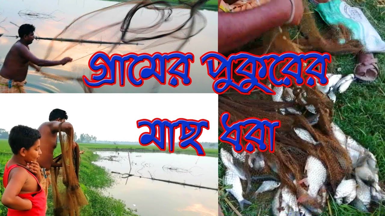 গ্রামের মাছ ধরা, Village Fishing