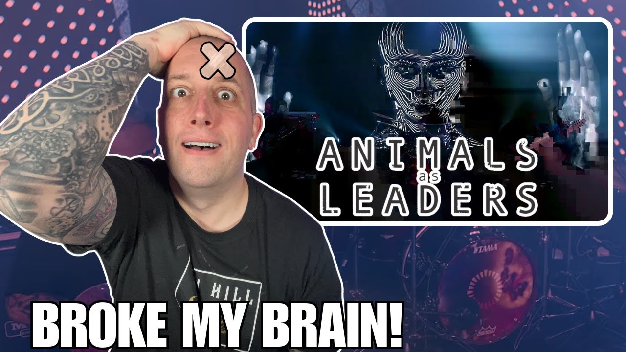 Animals as Leaders BROKE MY BRAIN || Arithmophobia Reaction