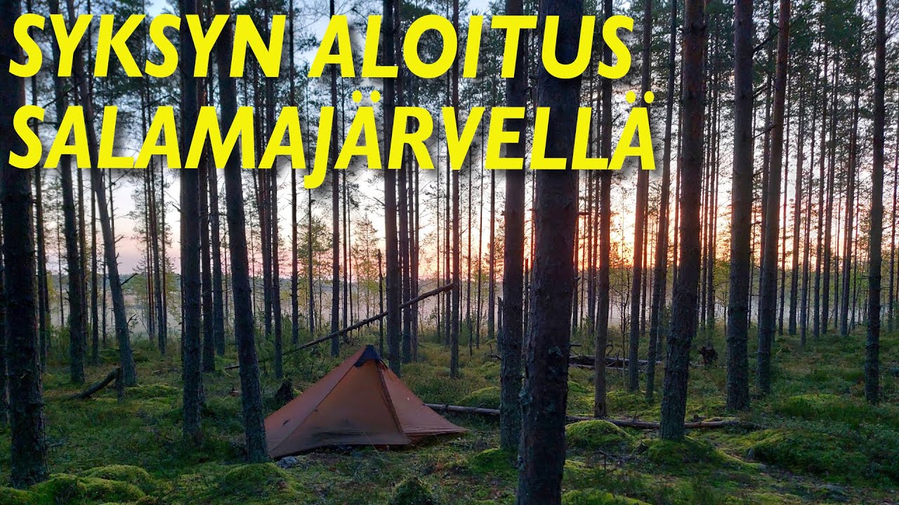 Syksyn aloitus Salamajärvellä - Yö suon laidalla