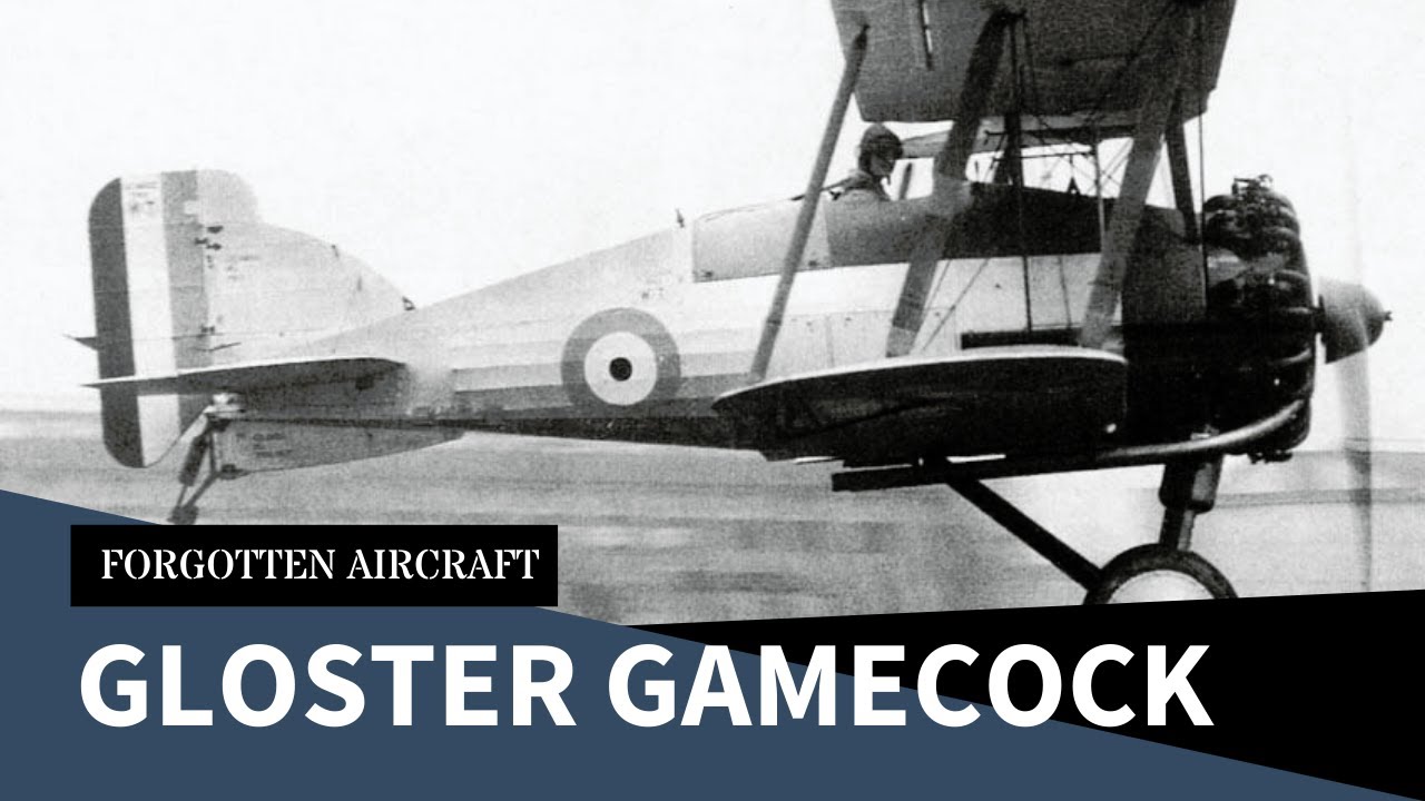 Gloster Gamecock – Oldest Fighter to Get a Kill in World War Two?