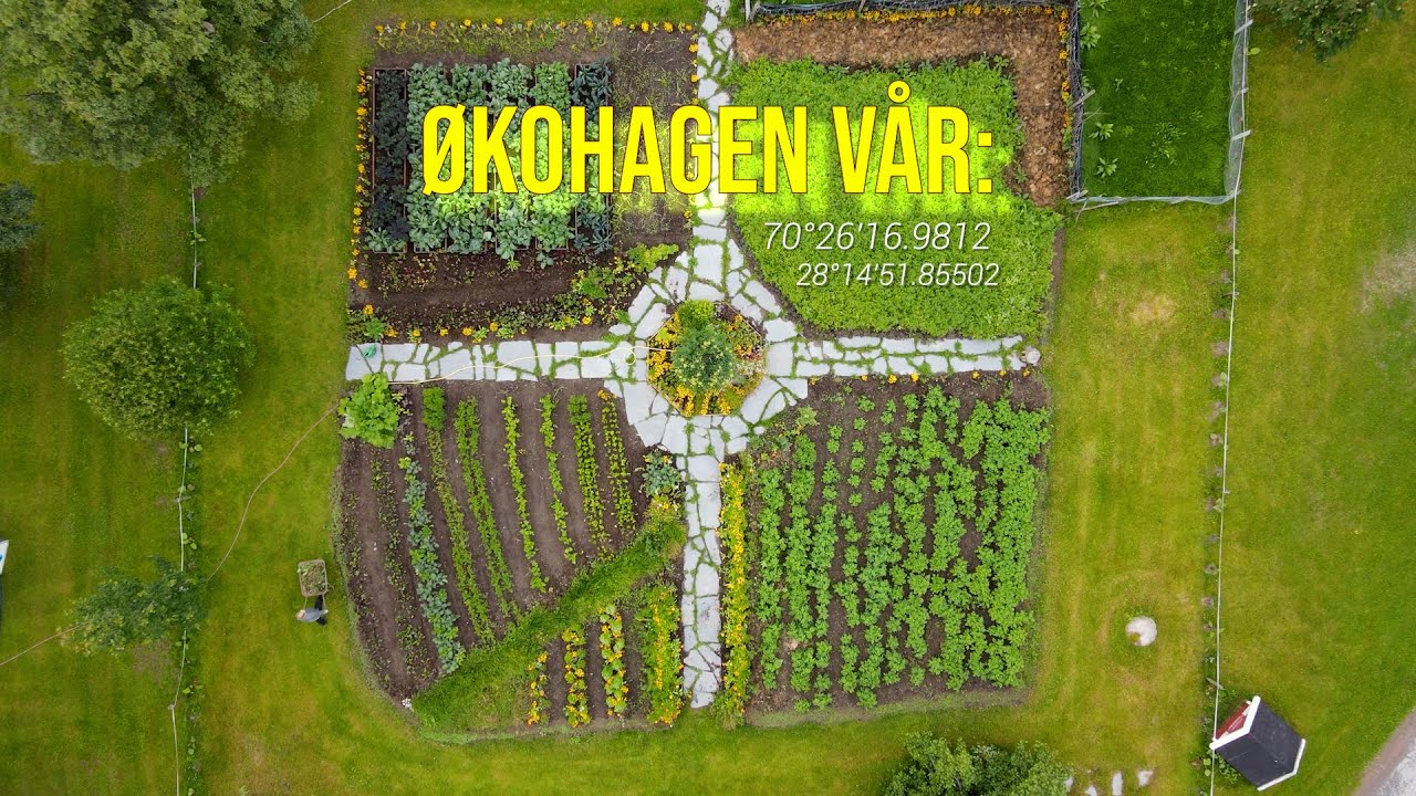 Økohagen På Tana Videregående (ARKTISK ØKOLOGISK LANDBRUK)